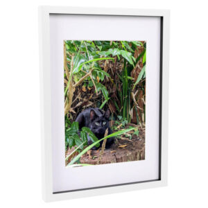 Nicola Spring A3 (12" x 17") 3D Box Photo Frame with A4 (8" x 12") White Mount-White