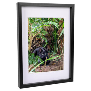 Nicola Spring A3 (12" x 17") 3D Box Photo Frame with A4 (8" x 12") White Mount-Black